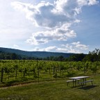 Virginia (according to Stephen)