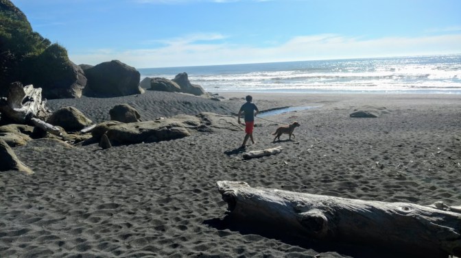 IMG_20160812_164200893